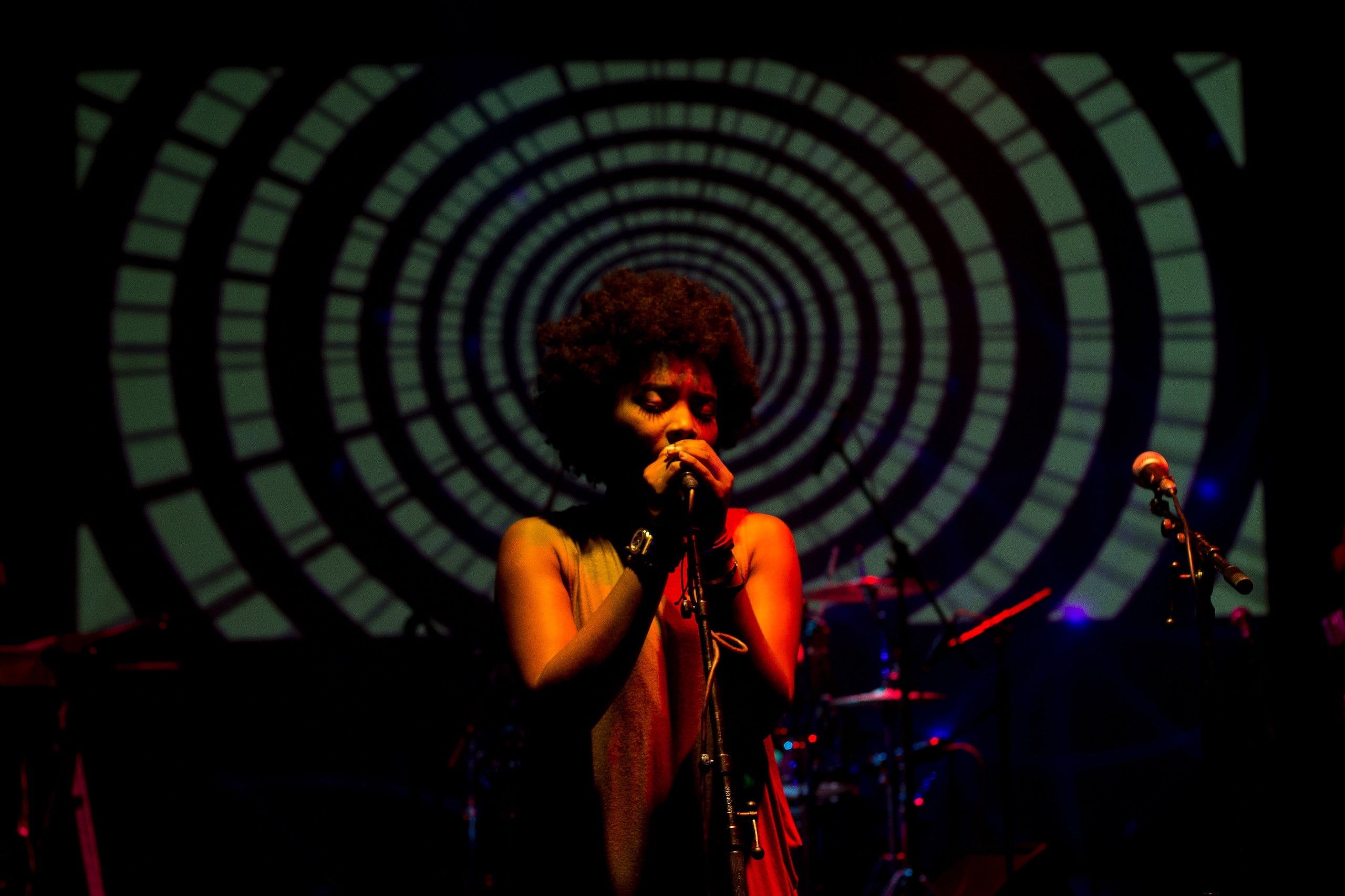 Stream high quality music with Privacy Player Pro 