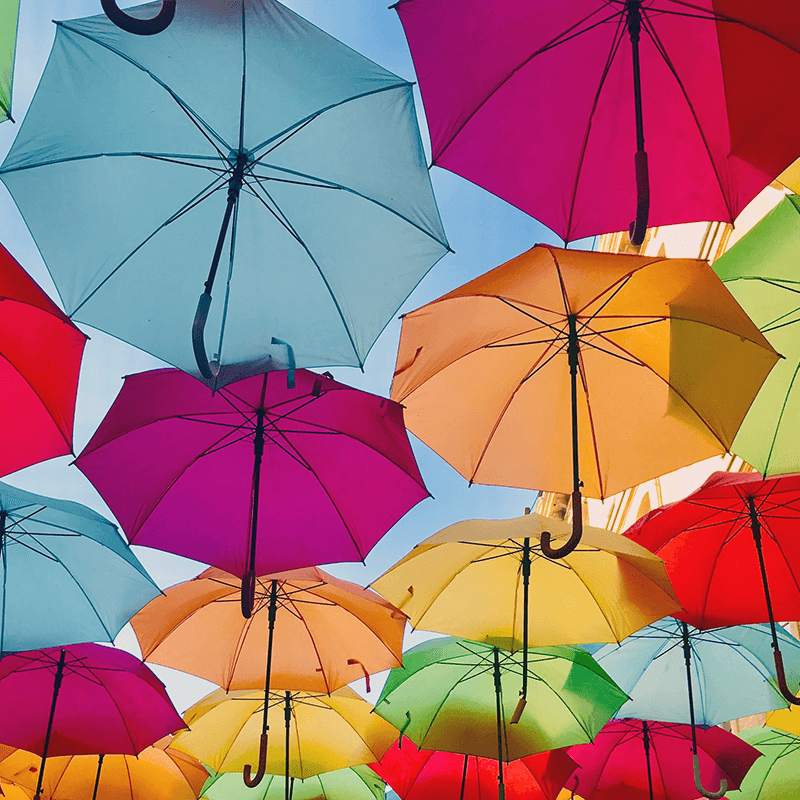 multi language online video platform