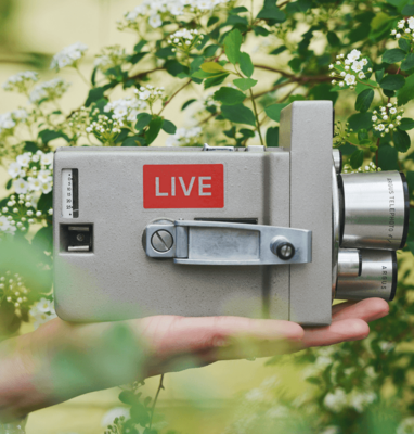 What Is Green Streaming?