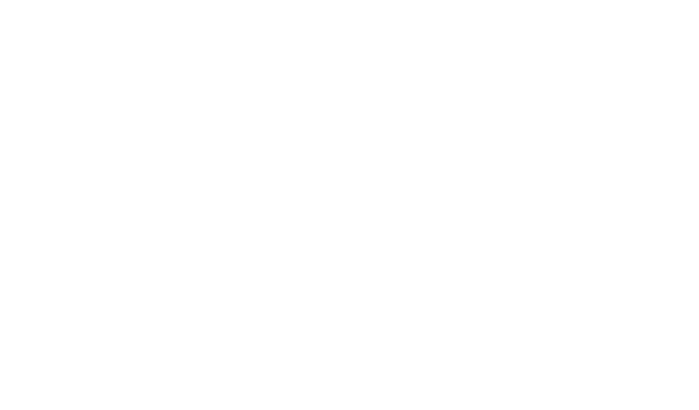 Support for all media monetization models