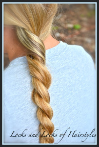 [Untitled photo of two types of four strand braids]. Retrieved January 12, 2014, from:http://babesinhairland.com/hairstyles/flat-4-strand-braid-video/  