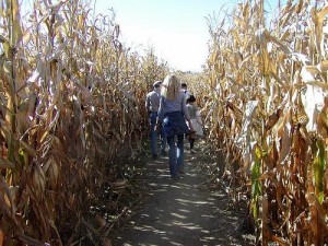 Family fun wandering through the corn field. Photo Via Flicker under the Creative Common License. https://www.flickr.com/photos/lape/1386620483
