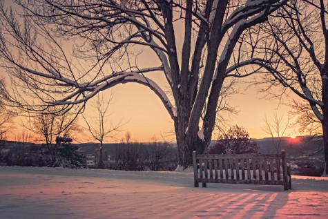 Parks are perfect for afternoon hikes with friends or family during the snowy season. Photo via pexels.com under the Creative Commons license. https://www.pexels.com/photo/snow-dawn-sunset-winter-374/