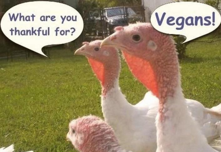3 Tips for a Successful Vegan Thanksgiving Dinner