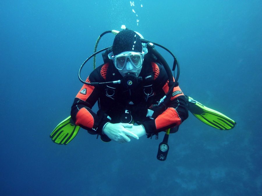 Scuba Diver. Picture under Goggle labeled for reuse via https://pixabay.com/en/lionfish-scuba-diving-underwater-1430225/