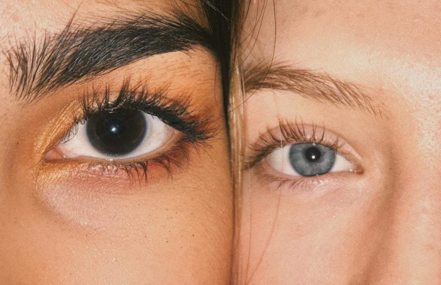 Middle Eastern junior Parmida Mahdavi and Caucasian junior Maizie Daye pose next to each other. Though they have different skin and eye color, they see the same world.