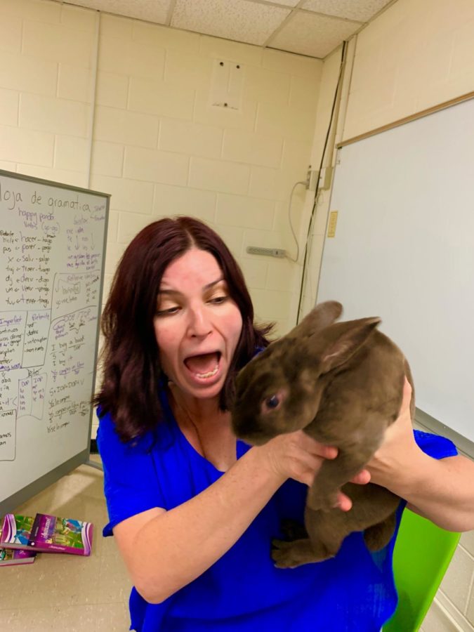 Ms. Valladares wrestles with an energetic bunny after a long day of teaching.