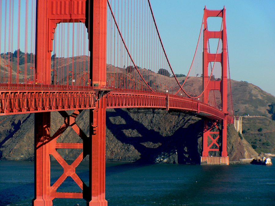 Coyotes have recently been spotted near the Golden Gate Bridge in San Francisco, CA, for the first time since 2002, according to Business Insider. Image labeled for reuse by Flickr.