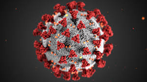Labeled for Reuse by Creative Commons. Covid-19 Virus as it appears under a microscope. 