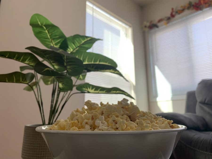 A bowl of popcorn in front of a plant and couch. 