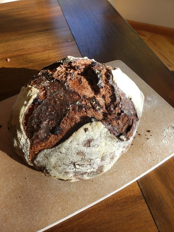 An image of freshly baked (and delicious-looking) chocolate chip sourdough bread. 