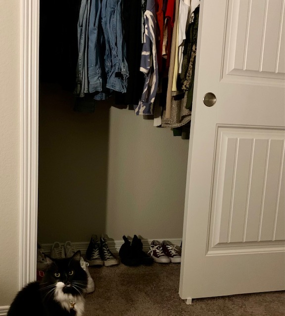 Junior Deanna Ponces cat, Charley, graciously shows off her owners closet. 