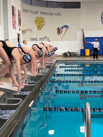 The swim team about to dive off!! Photo taken by Mike Evers