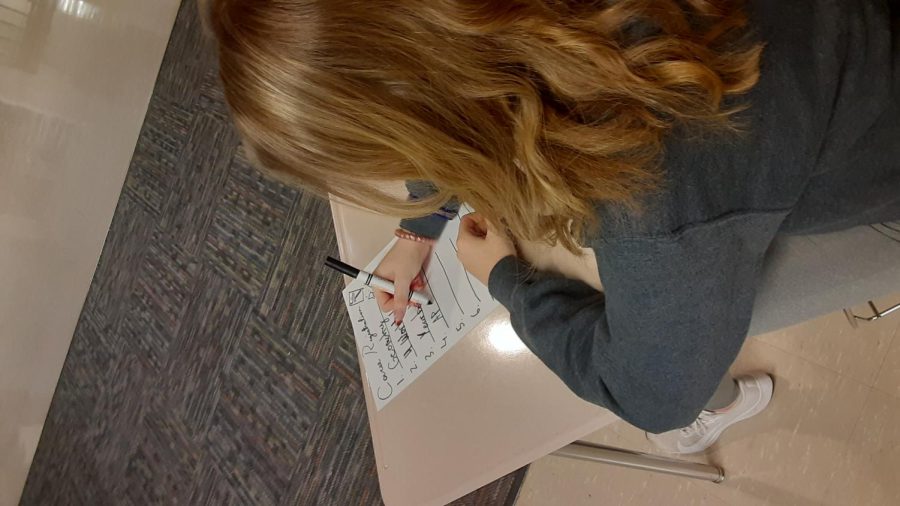 Sophomore Erin Bailey fills out her course registration form in preparation for next year!