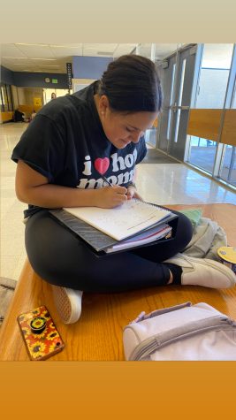 Sophomore Demi Bamesberger is shown sitting down and working hard on her geometry homework.