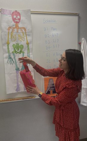 Human anatomy and biology teacher, Alison Kelly, demonstrating the unique features of the body by utilizing her beautifully crafted muscle diagram and multicolored skeletal diagram. 